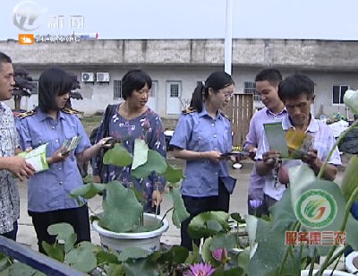 武進(jìn)新聞