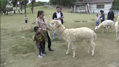 武進新聞