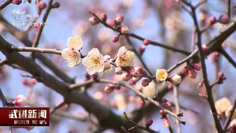 武進新聞