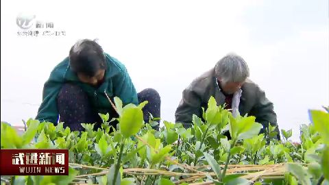 武進(jìn)新聞