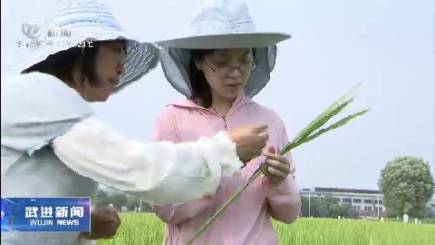 武進(jìn)新聞