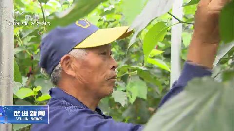 武進(jìn)新聞