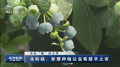 武進新聞